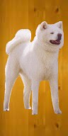 robe blanche