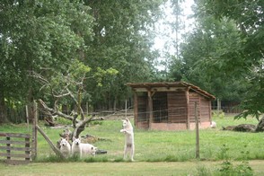 espace dtente jeune